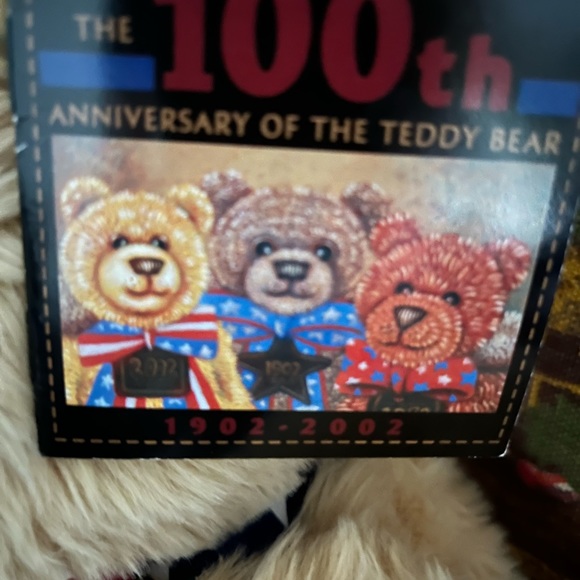 Gund Wish Teddy Bear from 2002, 100th Anniversary of the Teddy Bear - Picture 3 of 7